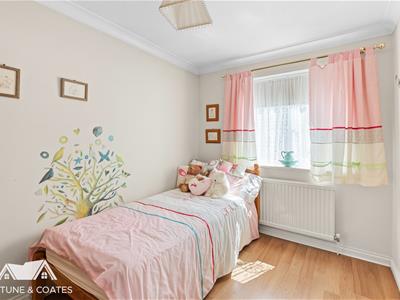 Picture 15